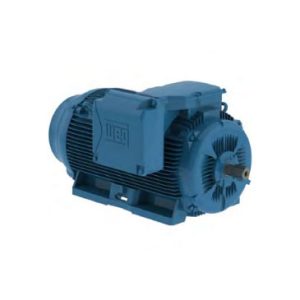 MOTORES TRIFASICOS W22 CARCASA EN HIERRO – SEVERE DUTY