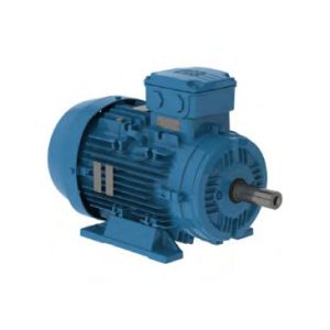 MOTORES TRIFÁSICOS W21 MULTIMONTAJE CARCASA EN ALUMINIO – USO GENERAL