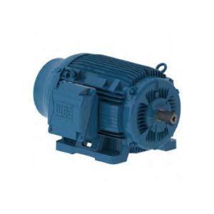 MOTORES TRIFASICOS W22 CARCASA EN HIERRO – SEVERE DUTY